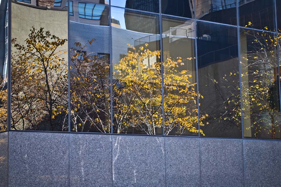 Hackensack, NJ - Abstract Trees Reflecting on City Buildings in Hackensack NJ